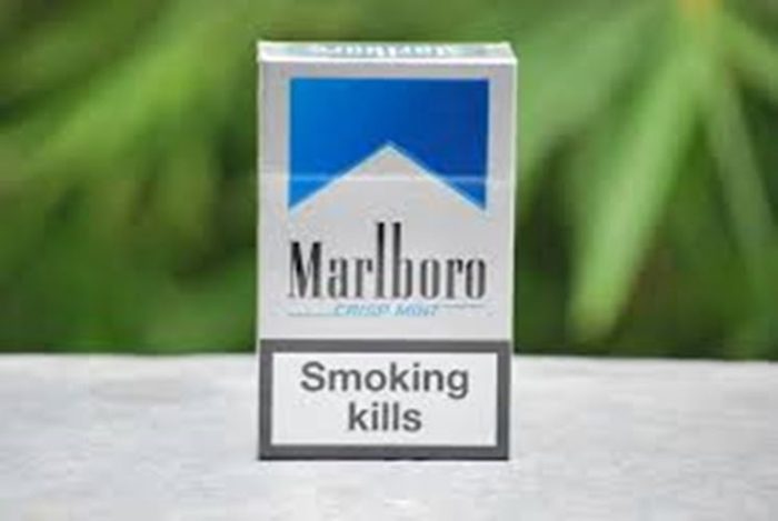 marlboro_crispt_mint